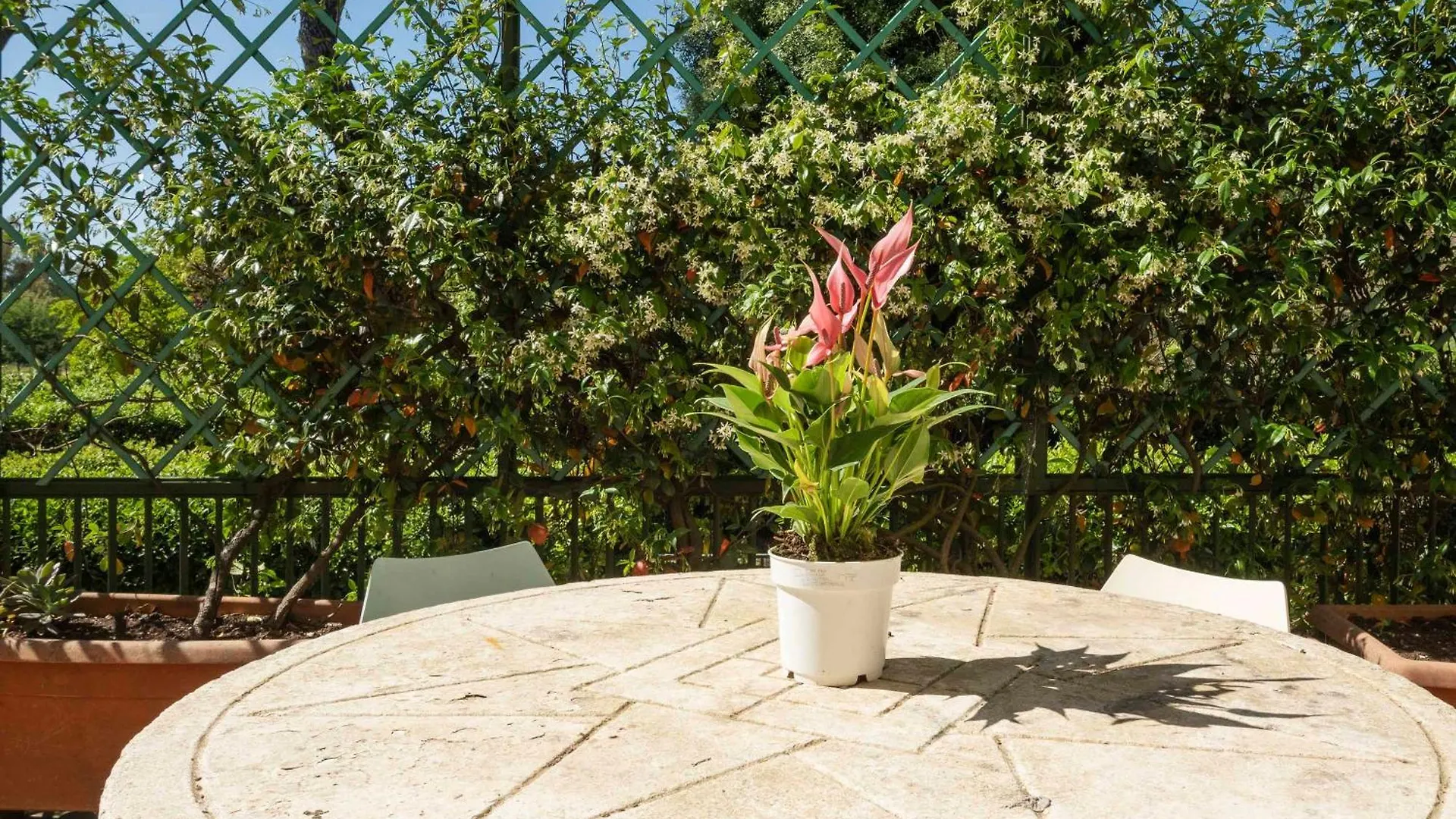 Villa Appia Antica-Zen45 Roma 0*,